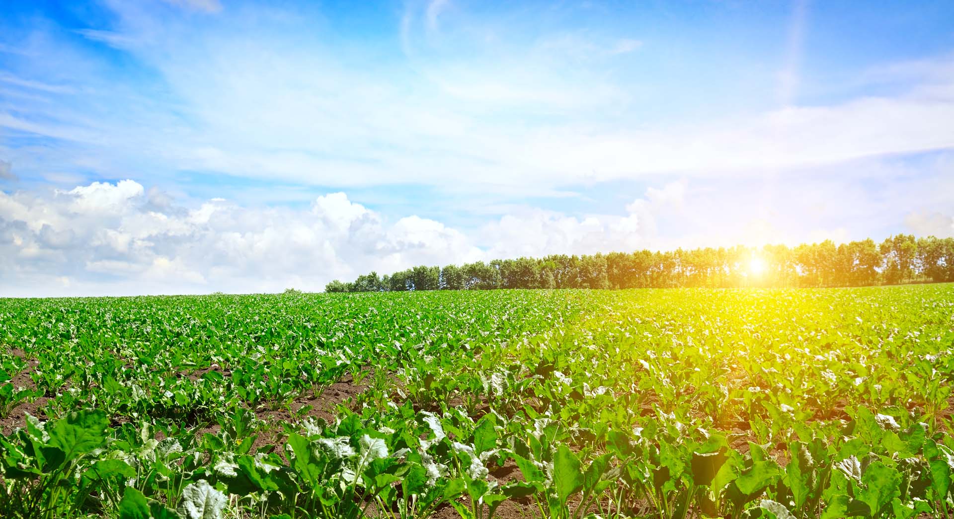 Sebewaing Branch My Member Insurance Agency